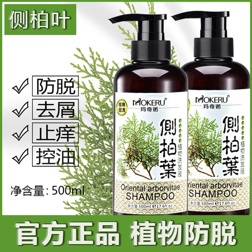 防脱去屑控油中药材侧柏叶洗发水