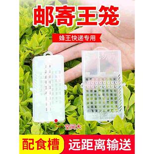 中蜂邮寄王笼快递蜂王盒子专用新式多功能蜜蜂囚王笼意蜂介王储王