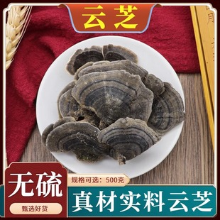 云芝中药材云芝蘑云芝菌青灵芝无硫天然500g克新货干货正品包邮