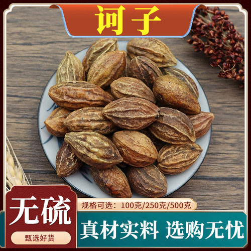 诃子柯子诃梨诃黎勒随风子金科子