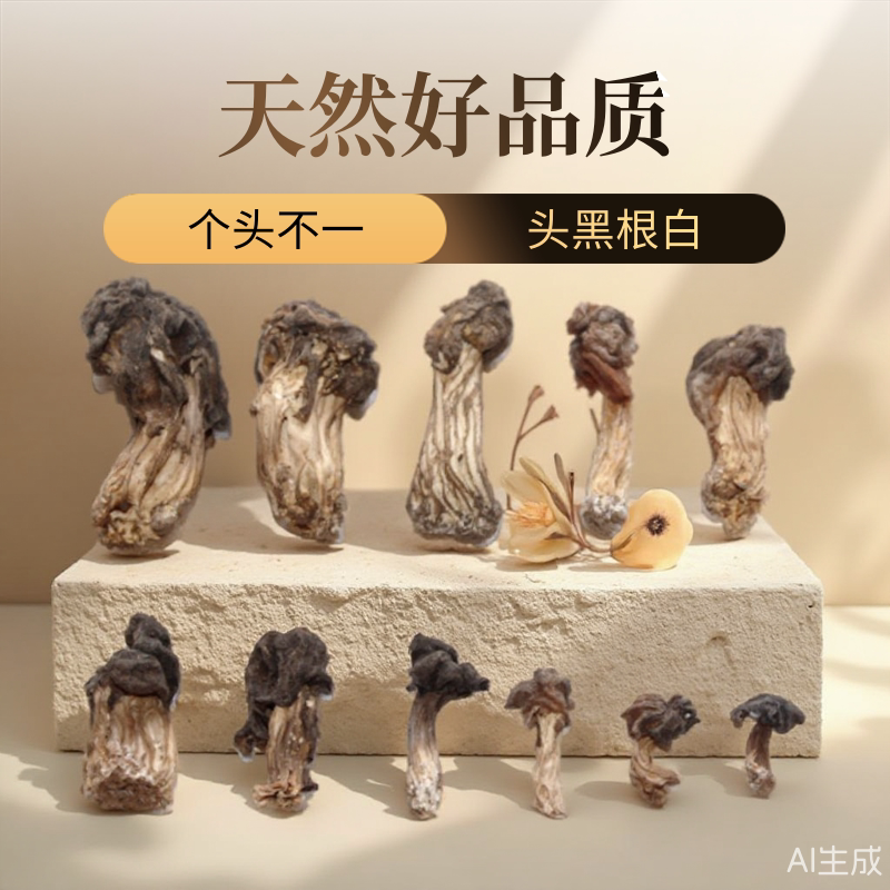 东北野生皱柄马鞍菌菇煲汤黑木耳蘑腐竹菌黑松茸干货新小鸡炖蘑菇