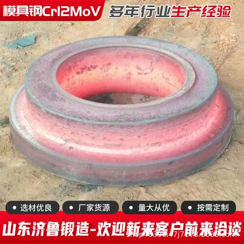 锻造压铸模具钢H圆钢锻件|Φ×mm|汽车发动机缸体模