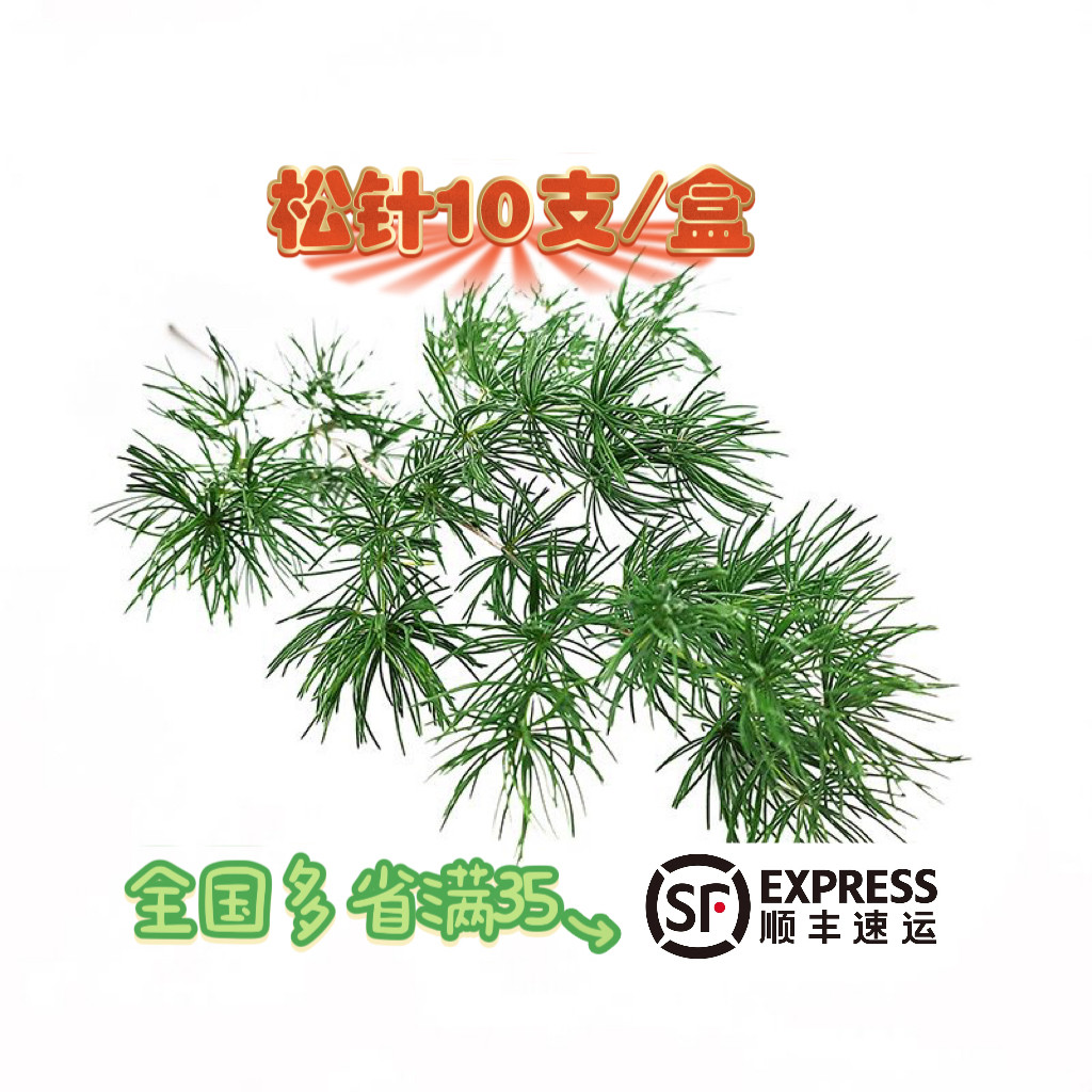 蓬莱松松树针叶酒店餐饮摆盘装饰