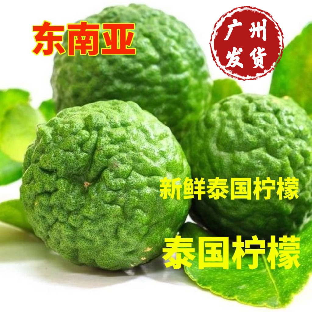 粗皮柠檬皱皮柠檬毛里橙泰国菜图片