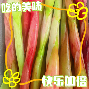 叻沙花Laksa火炬姜食用花卉叻沙咖喱花Bunga Kantan 娘惹菜叻沙花