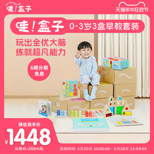 Wonder Garden哇盒子婴幼儿童蒙氏早教益智积木玩具3盒套装