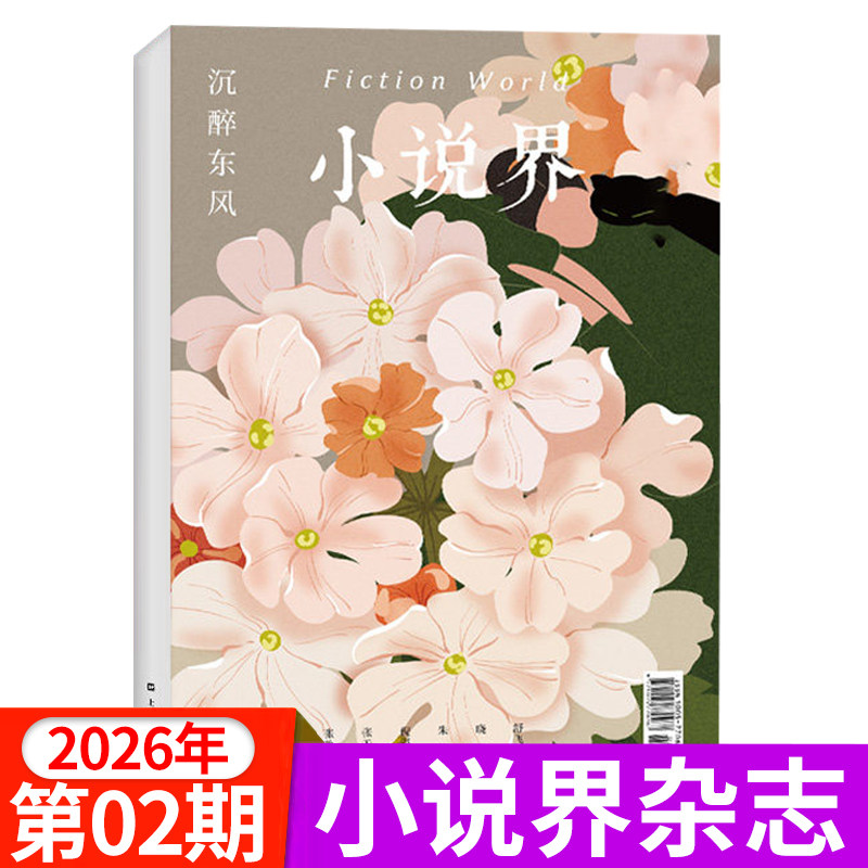 小说界杂志2026年1/2期新/2025年1-6期/全年半年订阅 双月刊 文学读物文艺小说期刊大型文学言情小说文艺青春美文青年文摘2024过刊