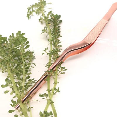 Seafood Tools Kitchen Wobble Plate Tweezers Tongs Profession