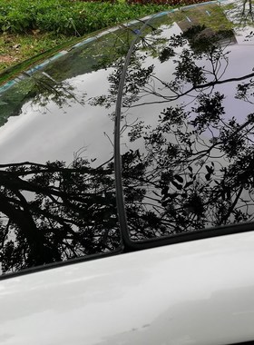 Wind Sealing Strip Dustproof Black 285cm Sunroof Noise  Tesl
