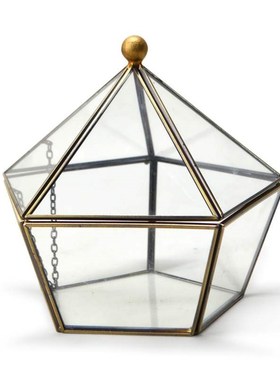 Irregular Glass Geometric Terrarium Box Tabletop Succulent A