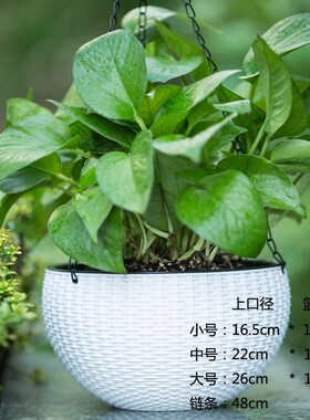 Hanging orchid and green radishes flowerpot resin thickenin