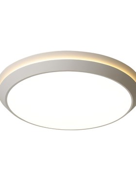 MEILCE Modern Led Ceiling Light Creative Simple Lighting Fix