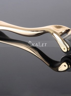 DRS540 Hot Hair Restoration Itanium Microneedle Derma Rolle