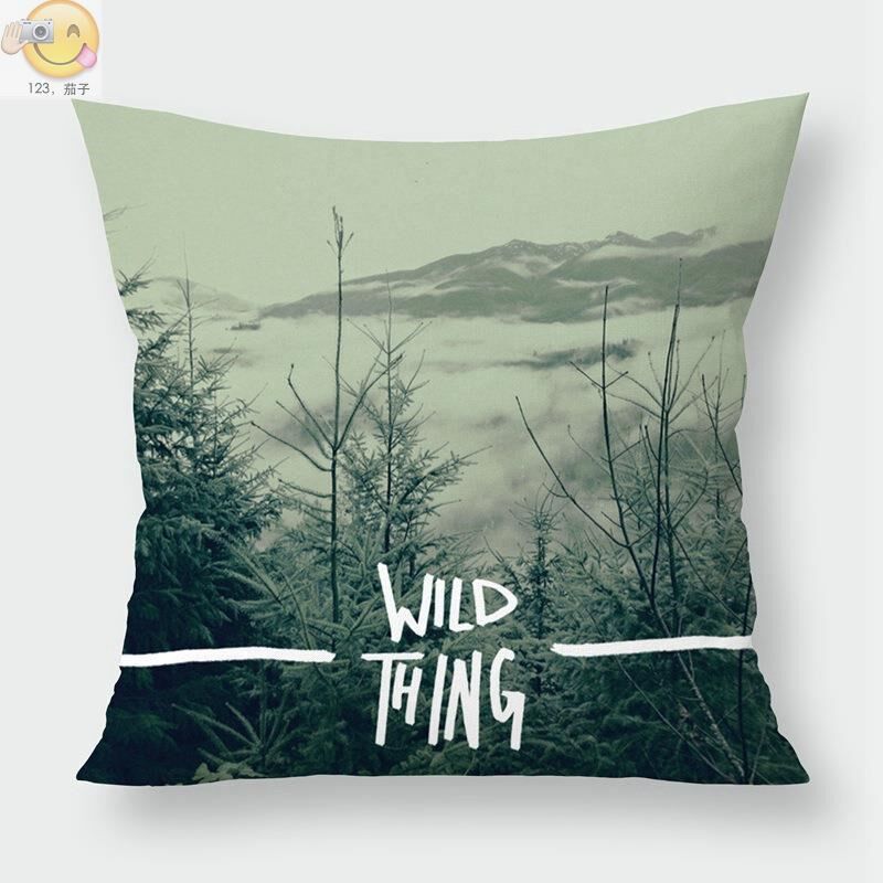 Pure and fresh and contracted scenery pillow hot hold hold