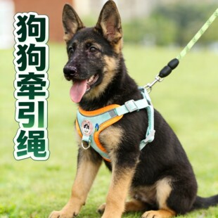 背心式德牧狗狗牵引绳胸背大狗大型犬通用链子背带栓狗绳调节防挣
