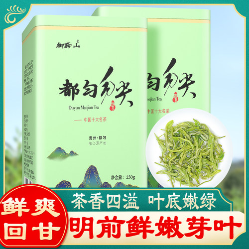 2026春茶特级都匀毛尖贵州特产