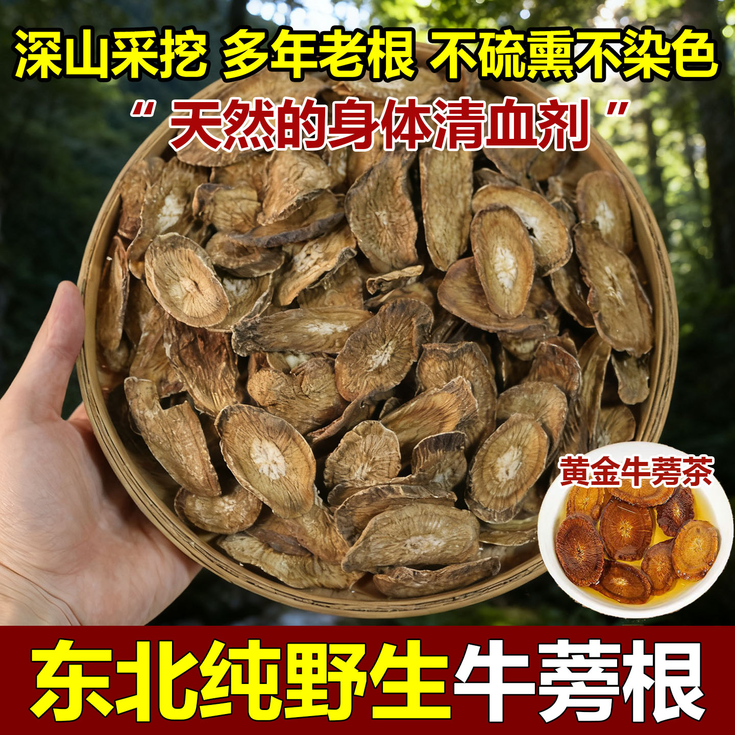 野生牛蒡根中药材深山采挖无硫新货牛蒡根新货可磨粉黄金牛蒡片茶