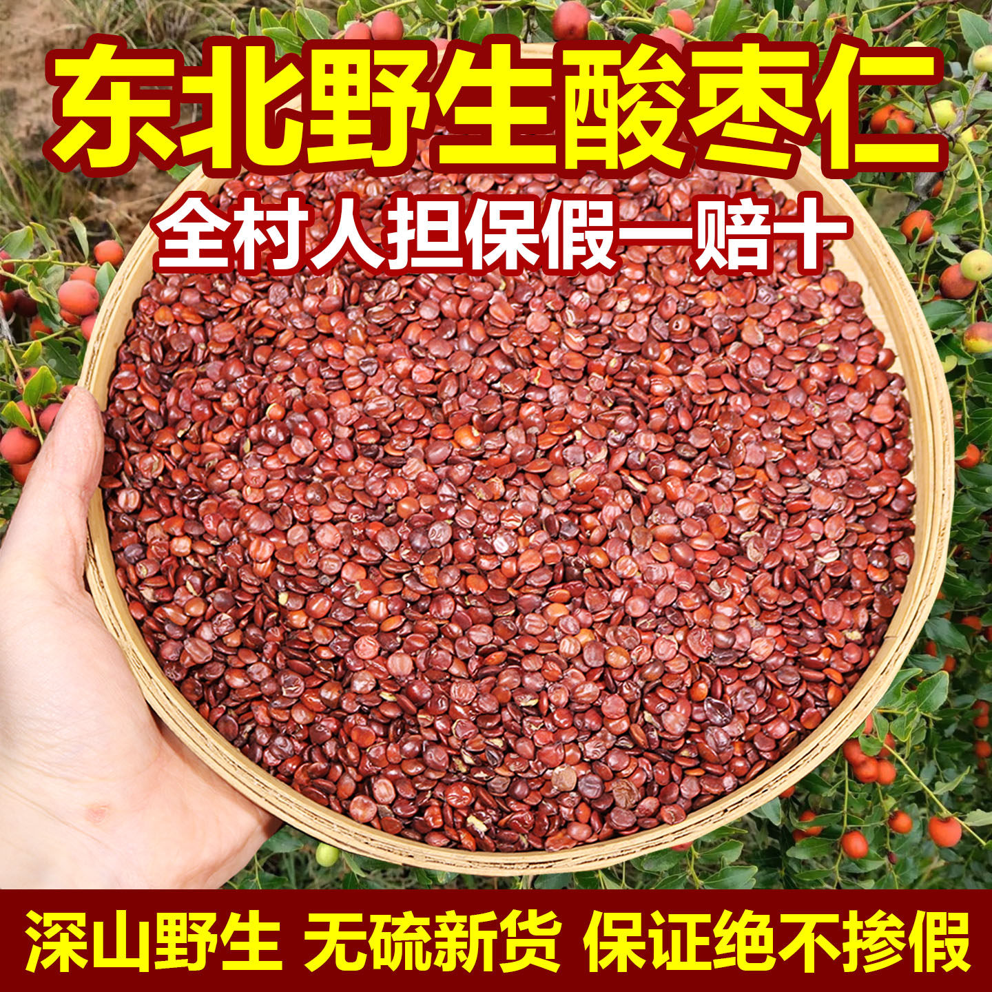 东北野生酸枣仁精选新货安眠水图片