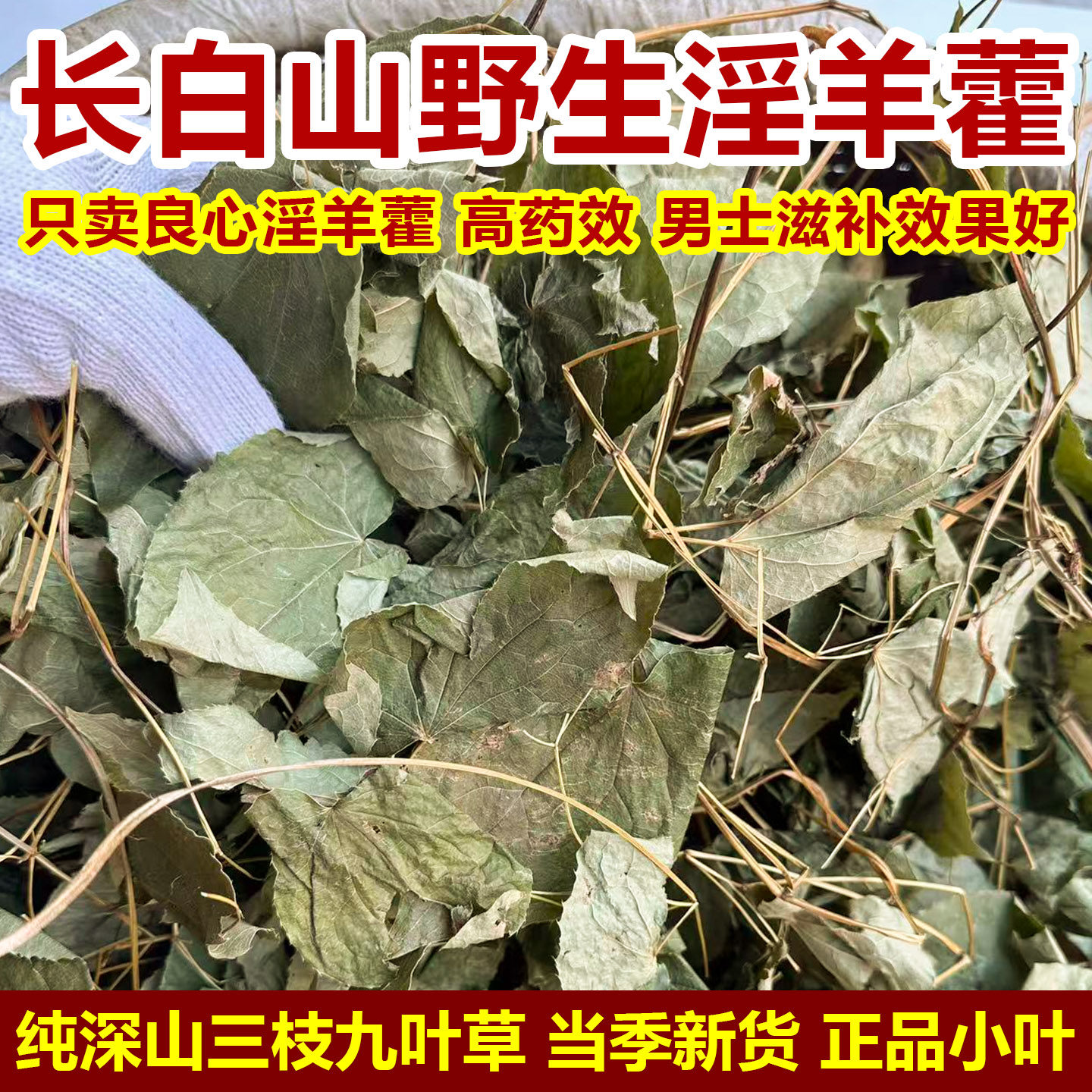 野生淫羊藿中药材长白山正宗小叶淫羊藿男性滋补锁阳泡酒泡茶干叶