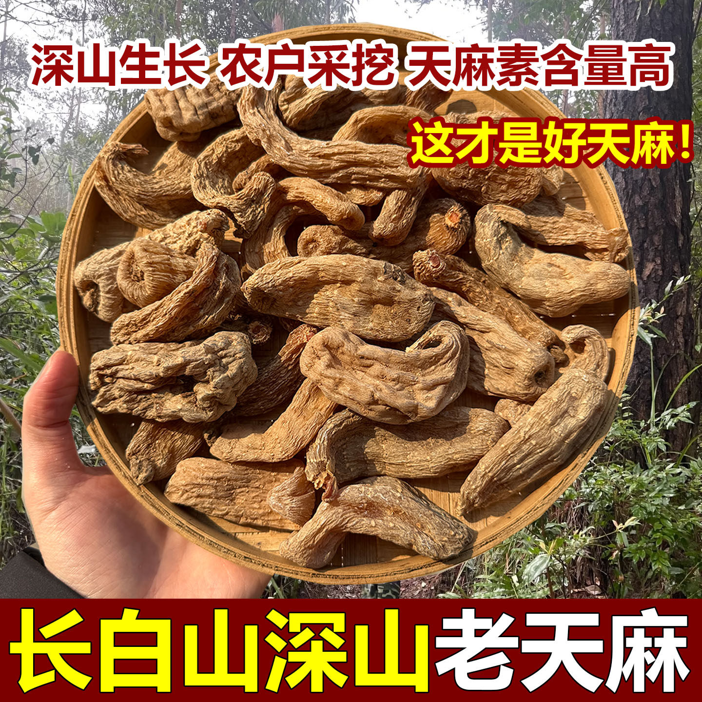 东北天麻特级新货中药材东北天麻无硫干货切片打粉头痛天麻中药材