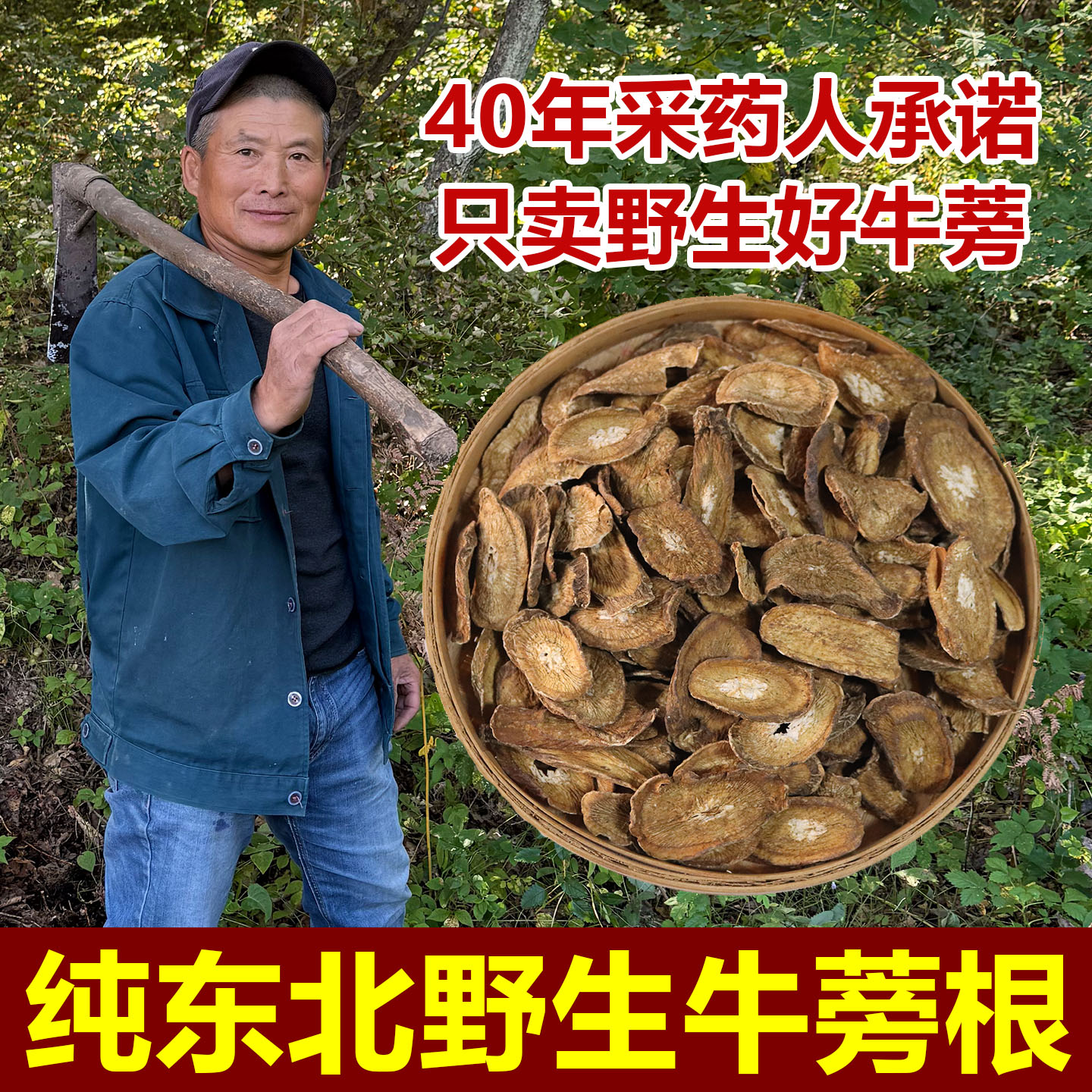 野生牛蒡根中药材深山采挖无硫新货牛蒡根新货可磨粉黄金牛蒡片茶
