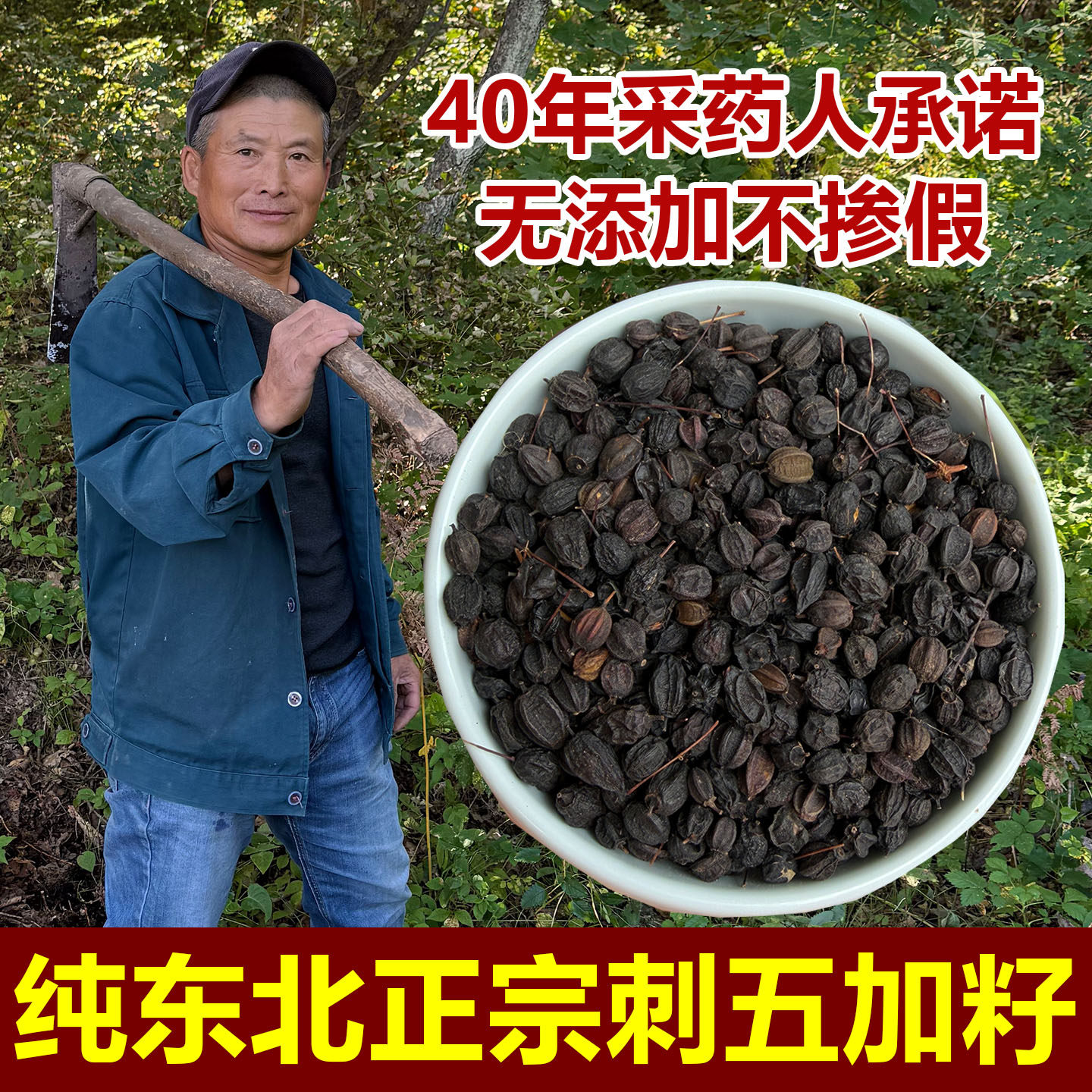 野外刺五加籽东北新鲜干货中药材精选新货刺五加果泡酒泡茶代打粉