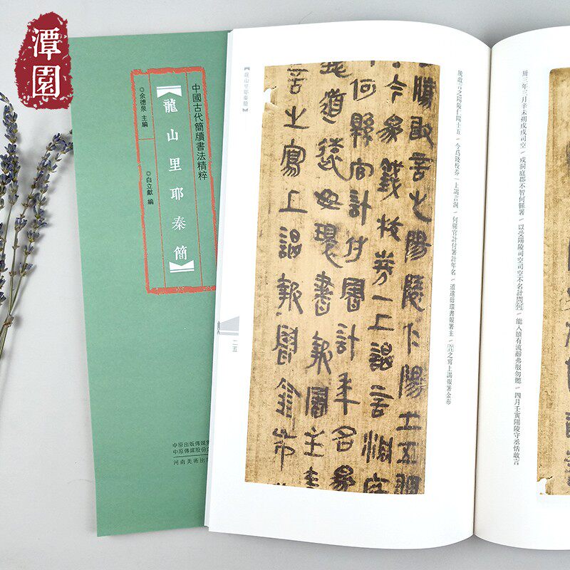 书法秦代竹简练字高清放大本附注释古代民间文字竹木书河南美术出版
