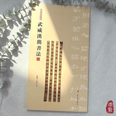 简帛书法大系武威汉简书法（一）古文字原色高清局部放大附注释毛笔练字临摹赏析字帖12开收藏考古上海书画出版社