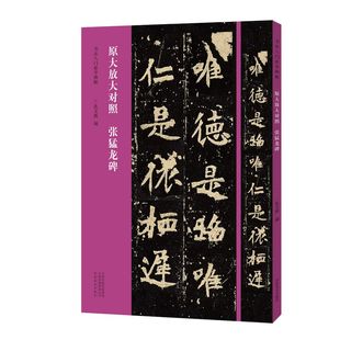 张猛龙碑褚遂良雁塔圣教序书法入门必学碑帖原大放大对照24孔文凯毛笔字临摹碑帖