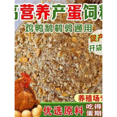 鸡饲料中大鸡喂玉米粒粉碎渣产蛋鸡食粮喂鸭鹌鹑鹅颗粒家用宠物