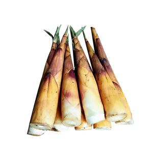 四川新鲜带壳苦笋竹笋甜竹笋春笋甜苦笋现挖现发野生笋子竹子现发