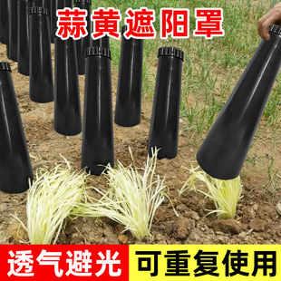 韭黄蒜黄遮阳罩种韭黄黑罩子遮光筒PVC软化筒免组装蒜黄种植神器