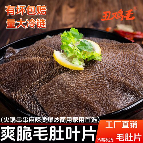 大刀毛肚火锅食材新鲜牛百叶