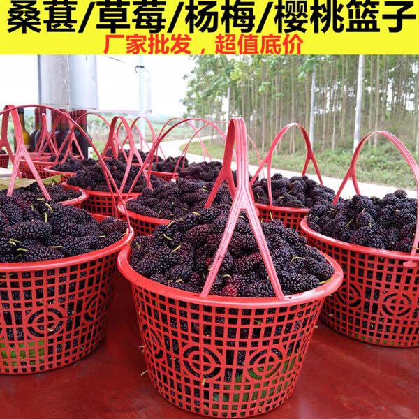 枇杷蓝莓塑料水果桑葚圆形包邮篮子杨梅采摘篮草莓筐鸡蛋篮带提手