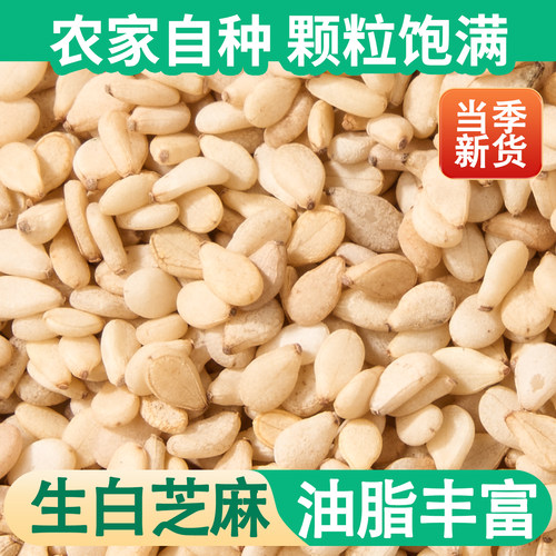 生白芝麻粒带皮新货农家新鲜芝麻