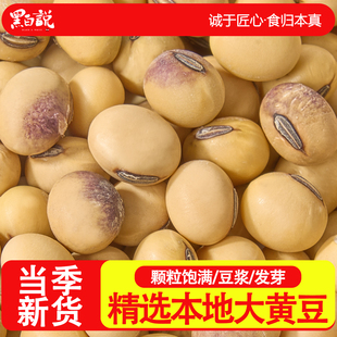 四川本地黄豆农家自种非转基因打豆浆东北黄豆粒大豆老品种大黄豆