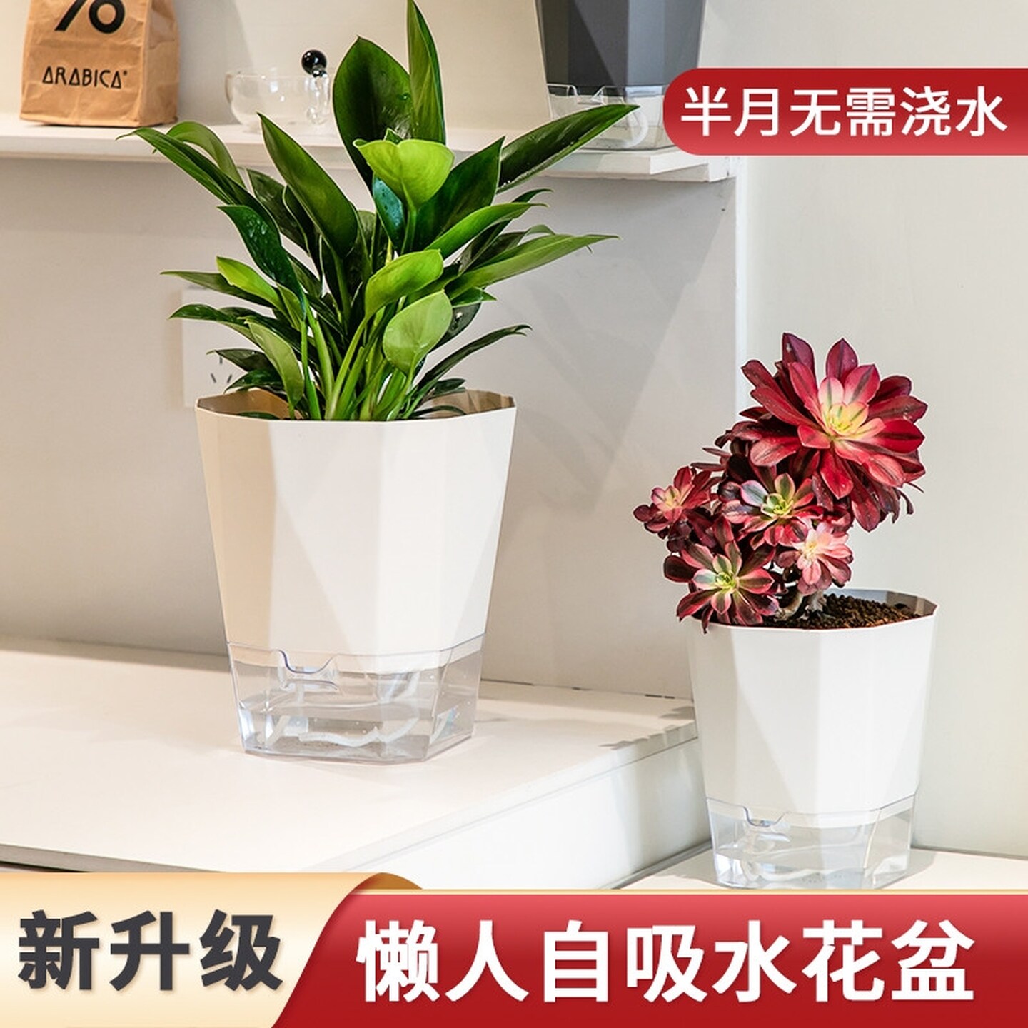 水培花盆吊兰绿萝文竹水仙树脂自动吸水懒人盆免浇水桌面透明塑料