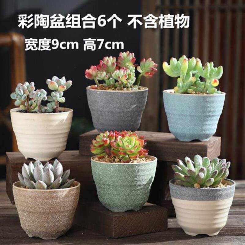组合大口径多肉花盆创意个u性罐子欧式h可k爱陶罐客厅多肉植物盆