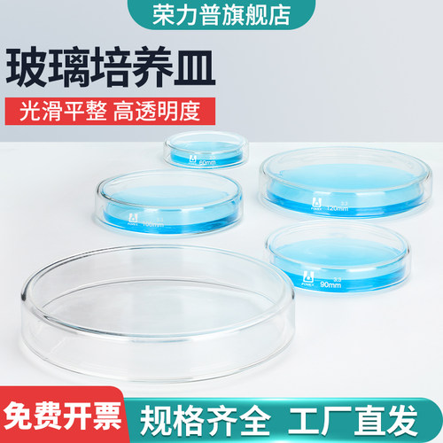 玻璃培养皿带盖耐高温