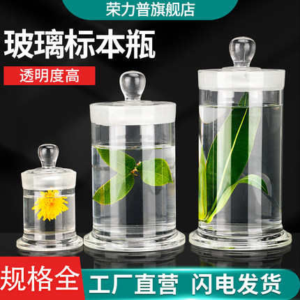 高硼硅玻璃标本瓶磨砂口密封样品瓶大广口无铅玻璃样品瓶实验室样品标本展示瓶干货茶叶储物罐密封罐瓶