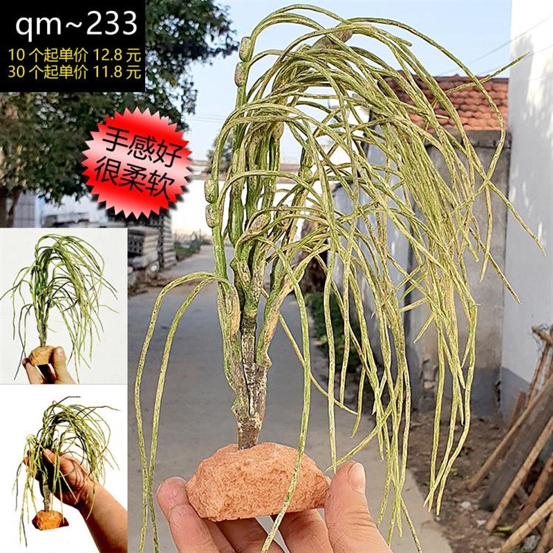 设计爬宠仿真植物绿植 假植物 多肉植物 沙漠Z雨林环境绿