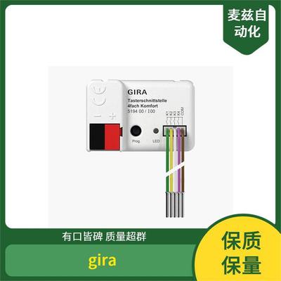 LED light RGB System 55 吉徕 gira 手动照明控制 开关面板