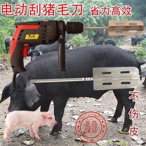 刮猪毛刨子电动退猪毛神器不锈钢电E动刮毛器猪去猪毛神器 省力高