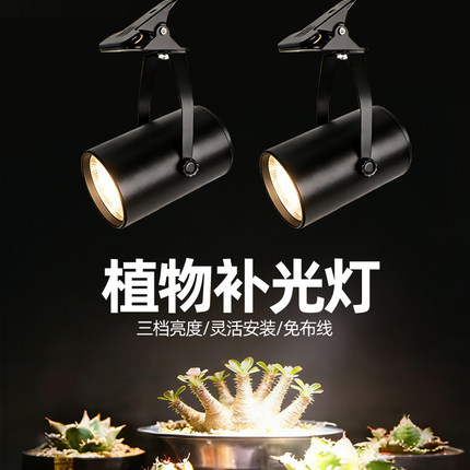 植物补光灯 室内绿植生长补光专用免打孔充电款全光谱夹子led射灯