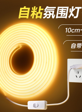 插电带开关氛围灯带自粘led灯条床头悬空电视柜装饰cob暖光220v