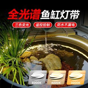 全光谱鱼缸氛围感灯带LED灯防水专用USB接口自粘款三色遥控灯条