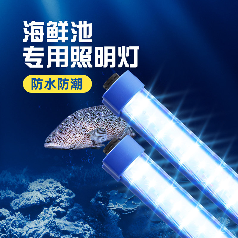 12v海鲜池鱼缸专用led灯 高亮防水蓝白光照明24v低压海鲜市场灯管,家装灯饰光源,LED灯管,淘宝优惠券,粉丝福利购,淘宝优惠卷