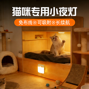 猫咪专用小夜灯感应磁吸宠物别墅夜间过道自动照明造景led照明灯