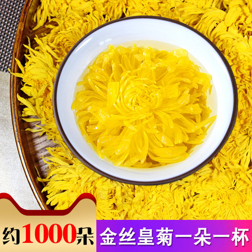 2025新花金丝皇菊菊花茶大菊散装特黄山黄菊花一朵一杯茶