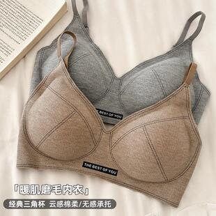 春秋舒适无痕磨毛小胸聚拢文胸3D内衣女防下垂胸罩2025新款 爆款